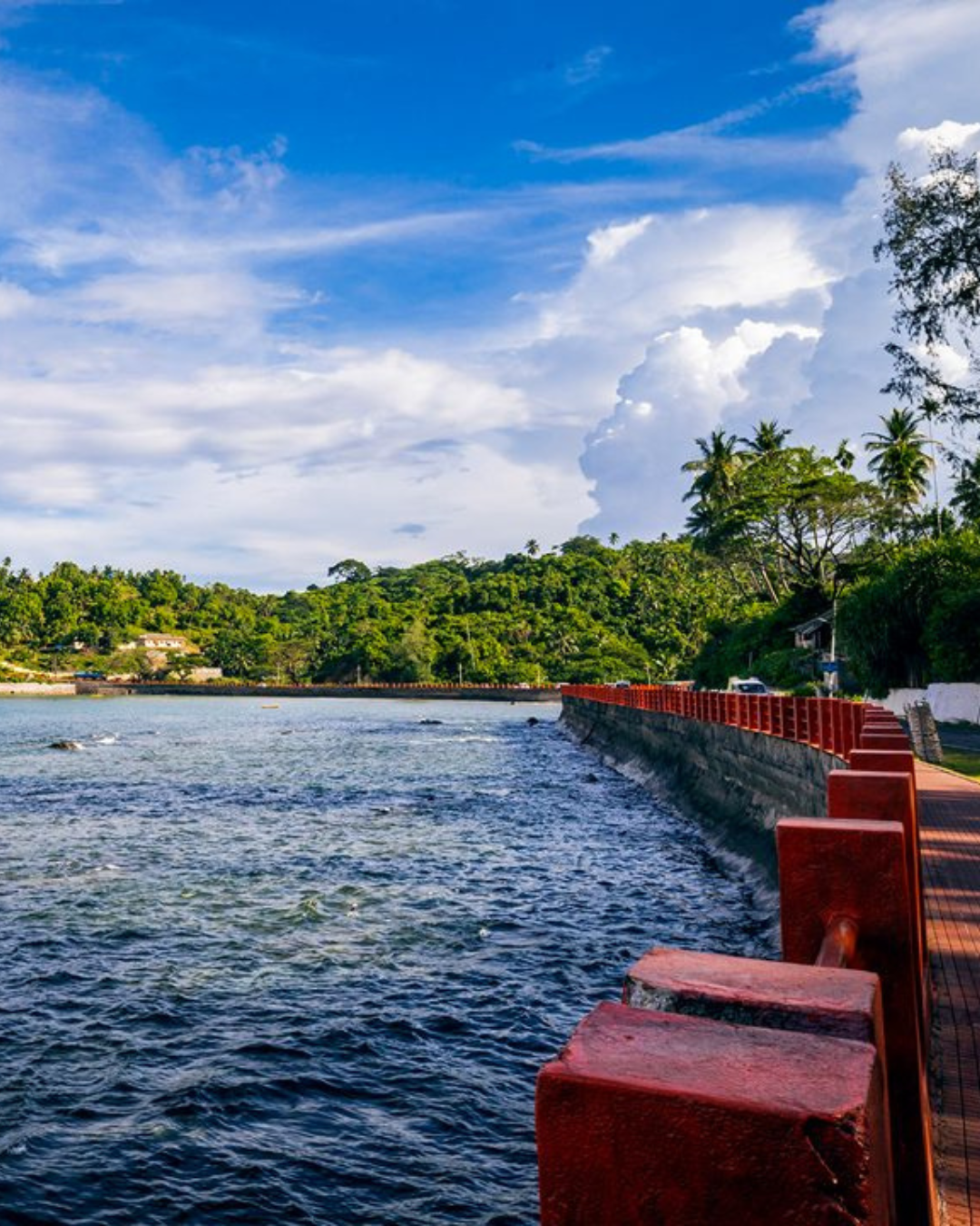 Andaman & Nicobar Islands Tour (5)