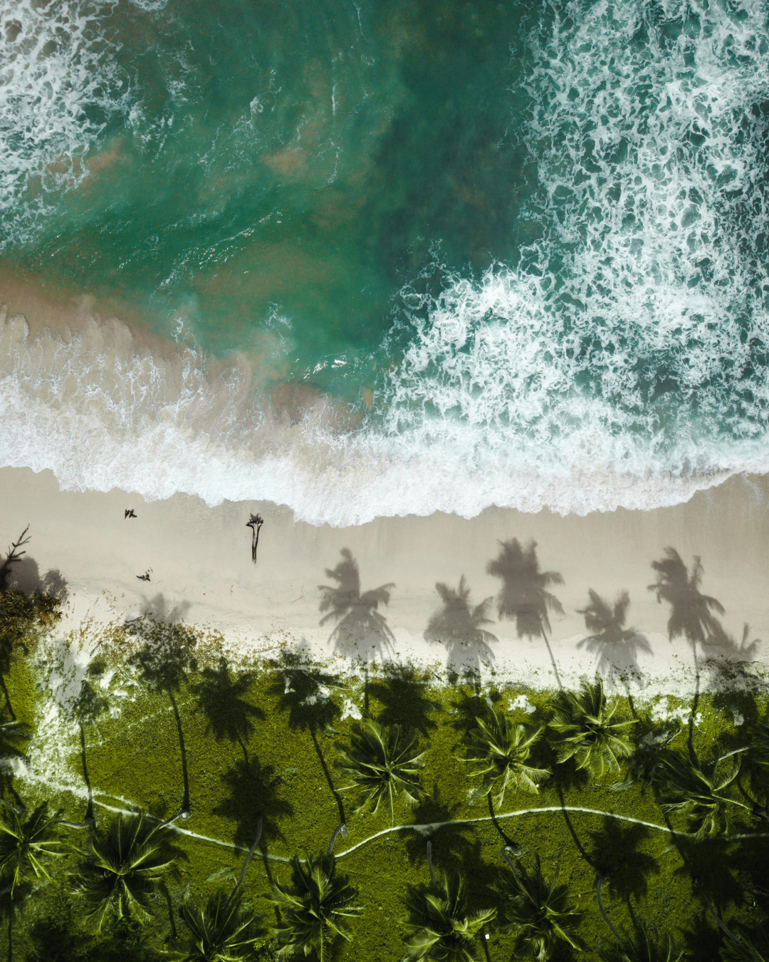 Andaman & Nicobar Islands Tour (7)