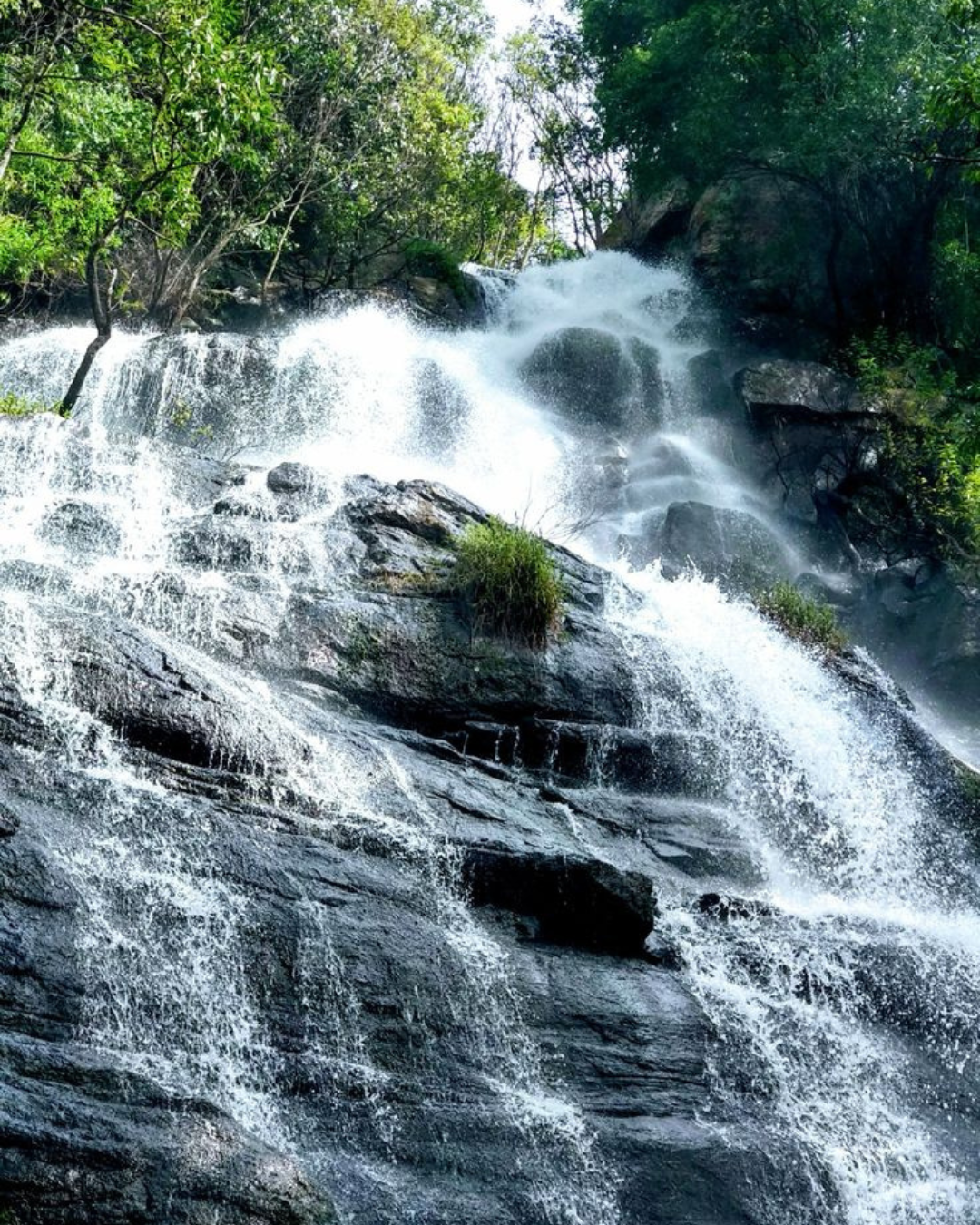 Courtallam Tour (4)