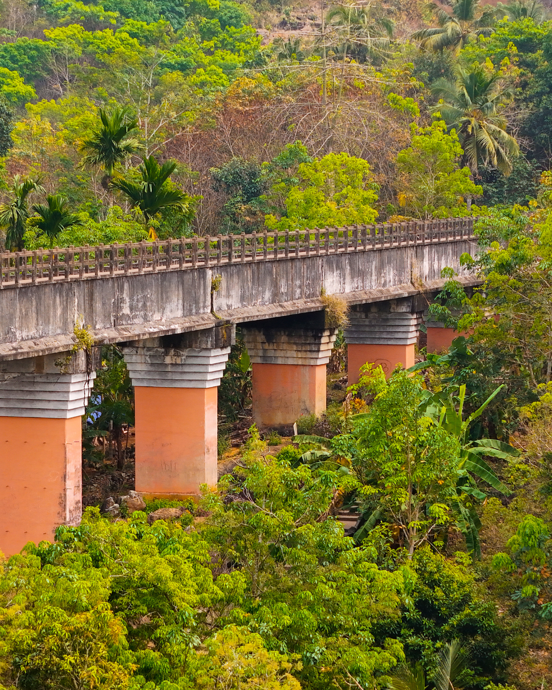 Kanyakumari Tour (5)