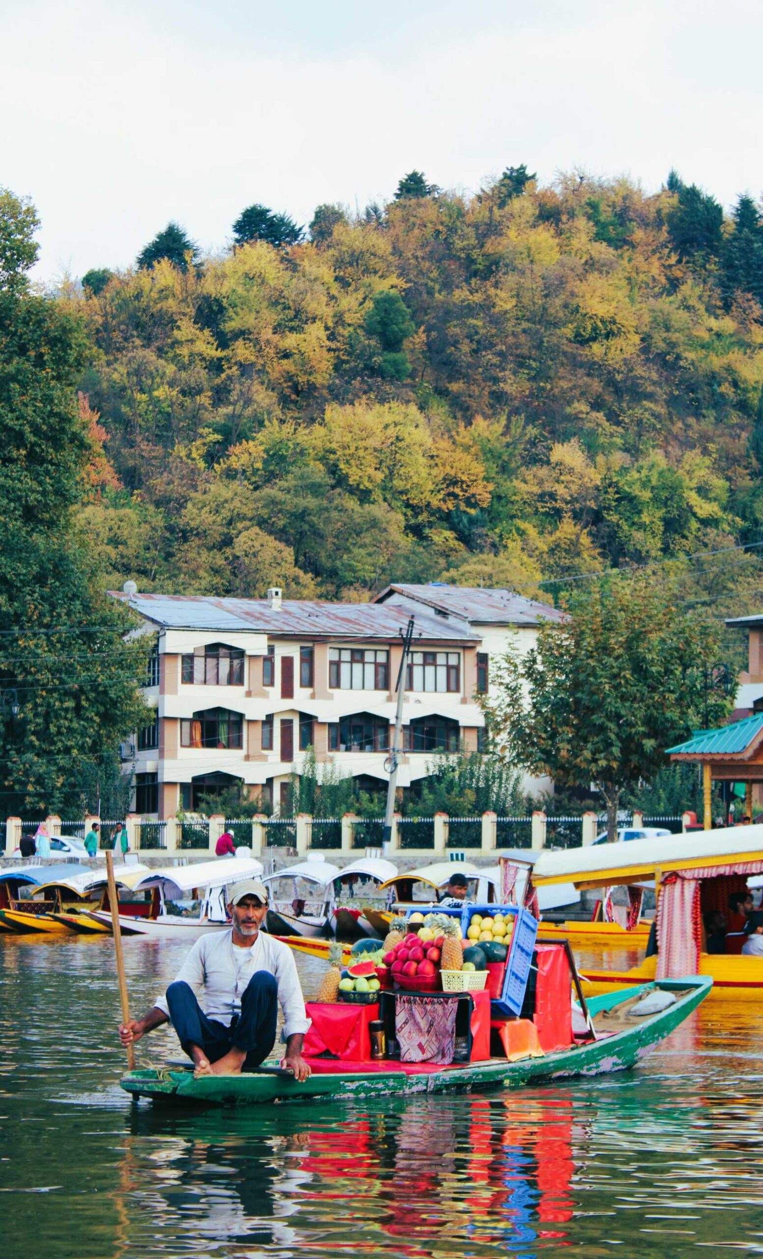 Kashmir (1)