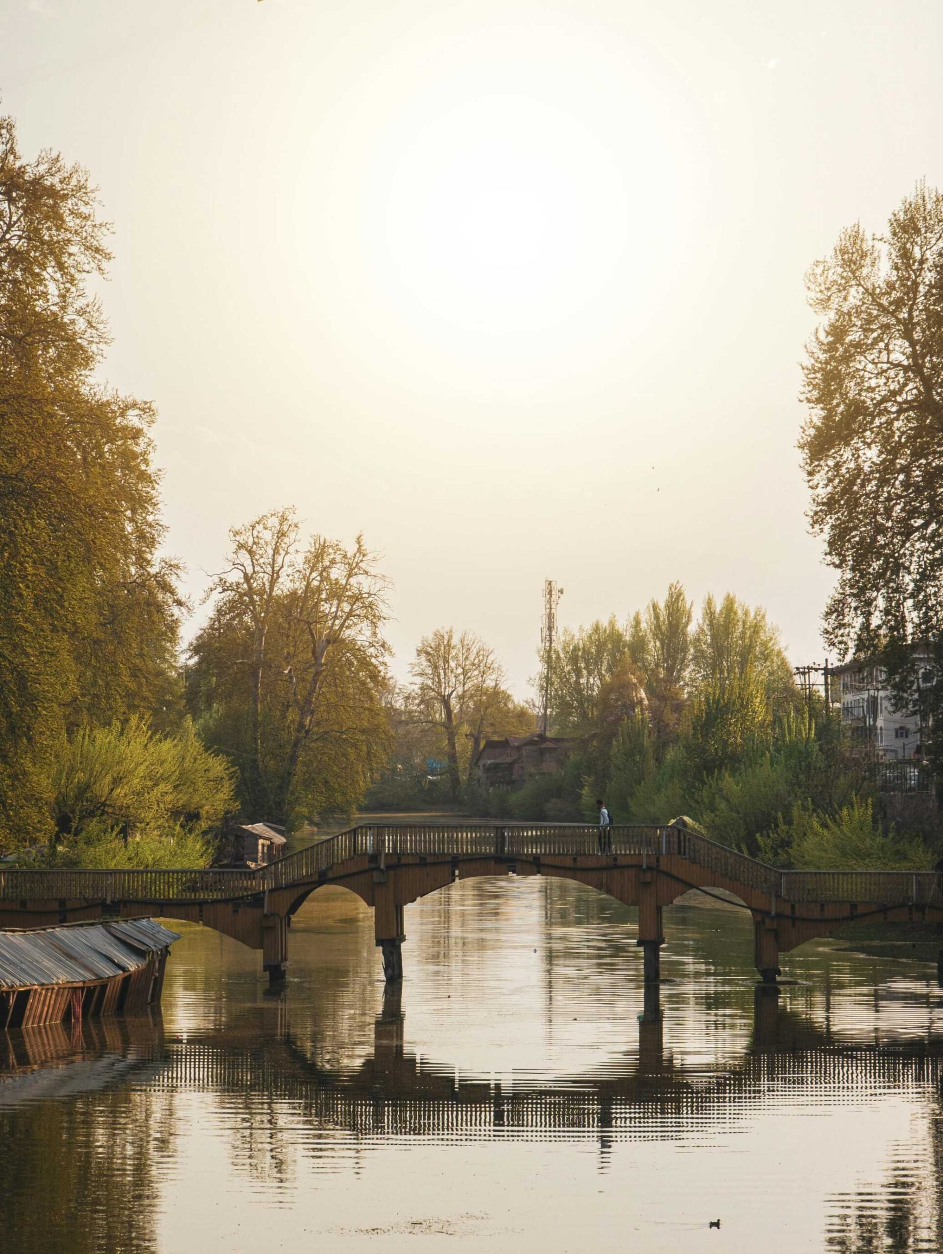 Kashmir (3)