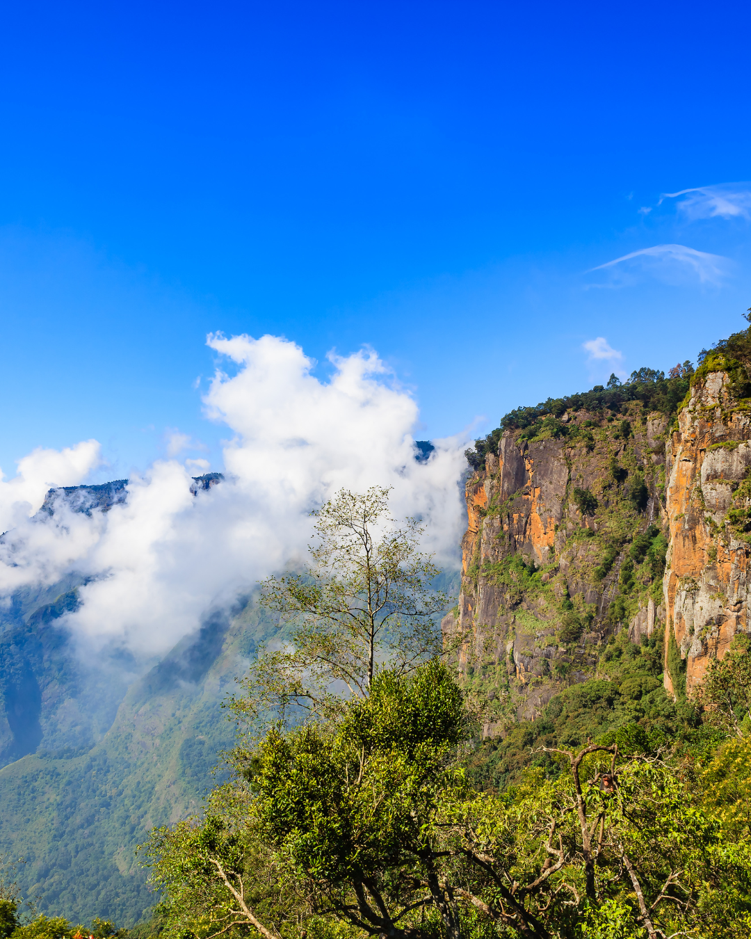 Kodaikanal Tour (2)