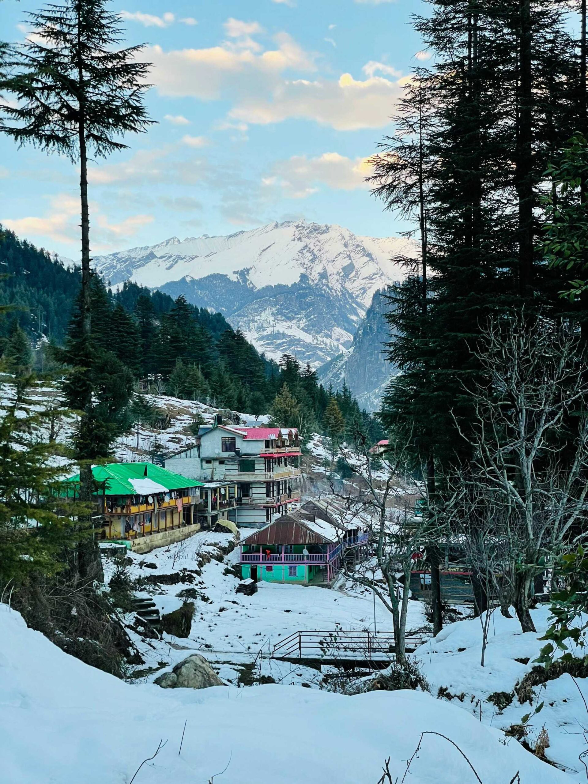 Kullu & Manali (6)