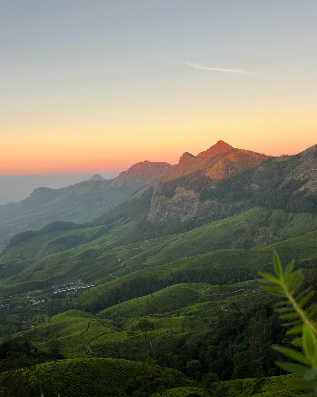 Munnar Trekking Tour (2)