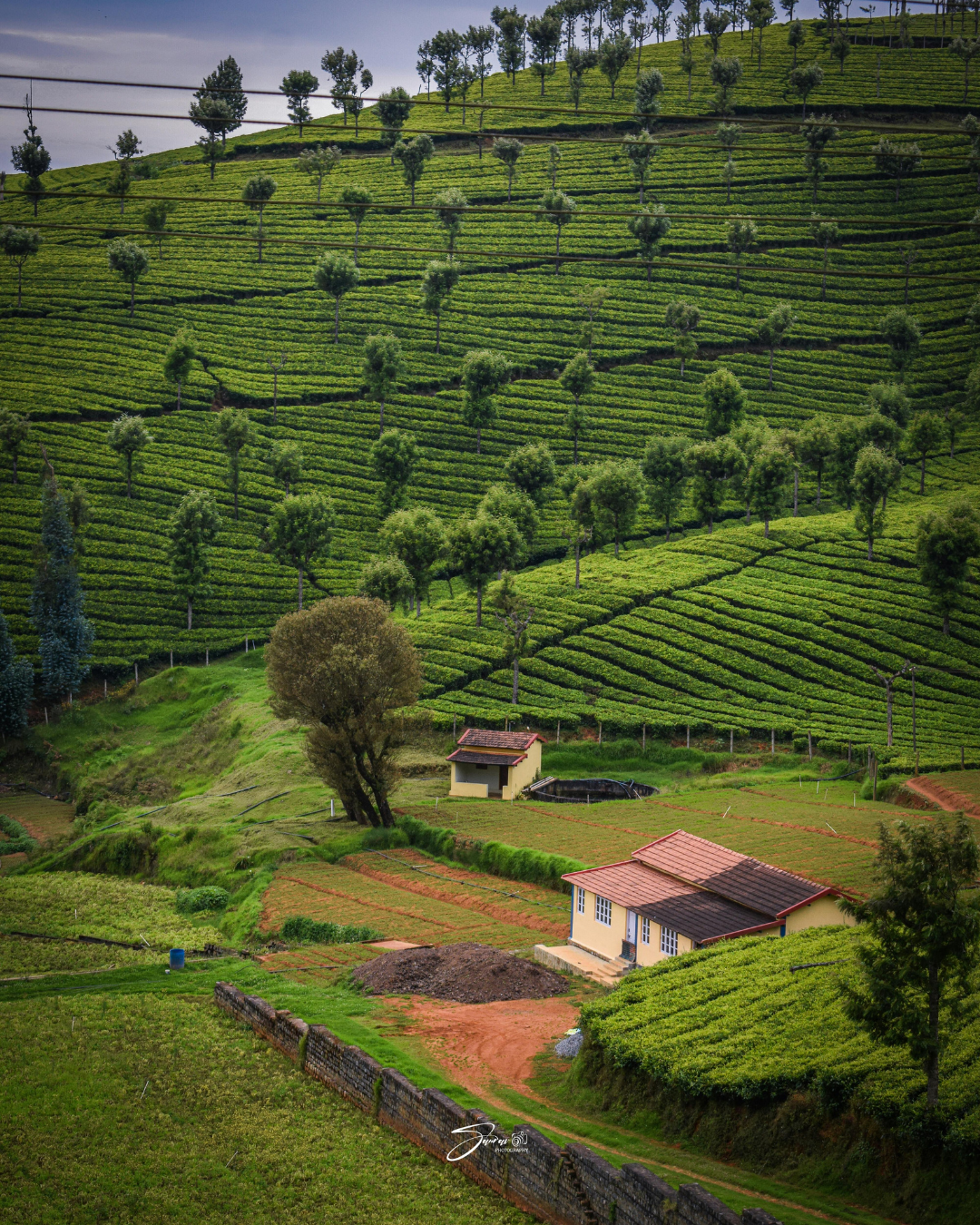 Ooty Tour (2)