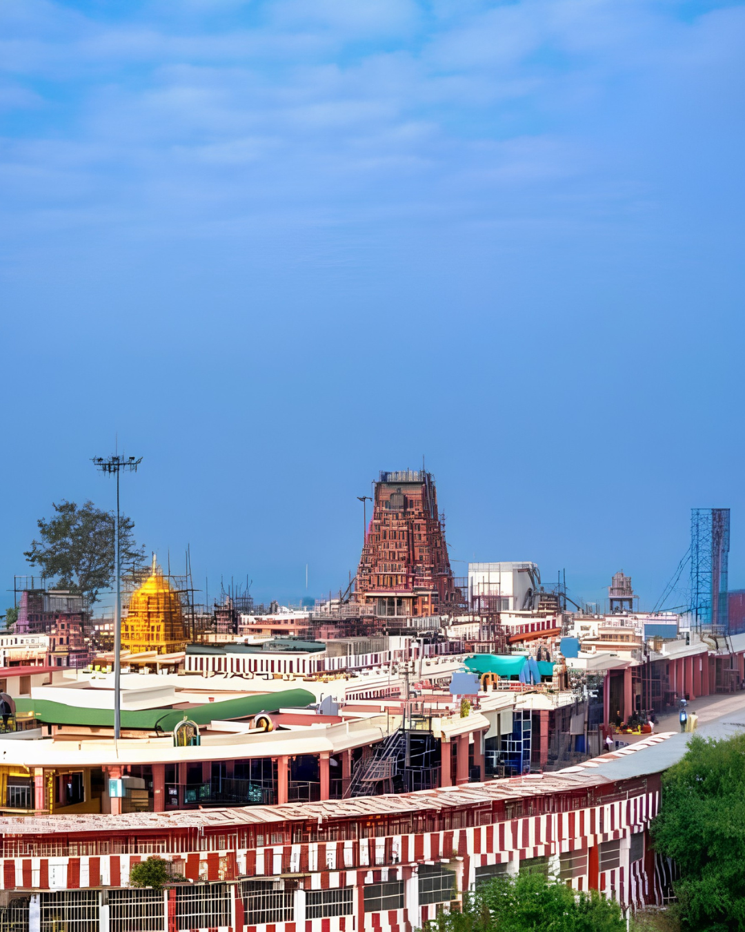 Palani Murugan Temple Tour (3)