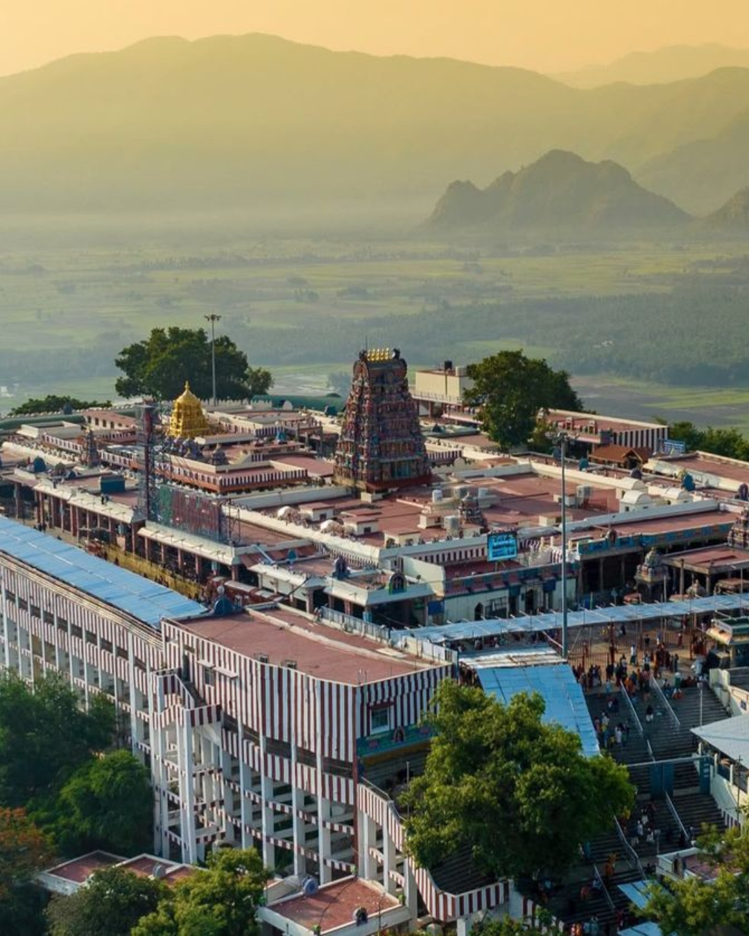 Palani Murugan Temple Tour (5)