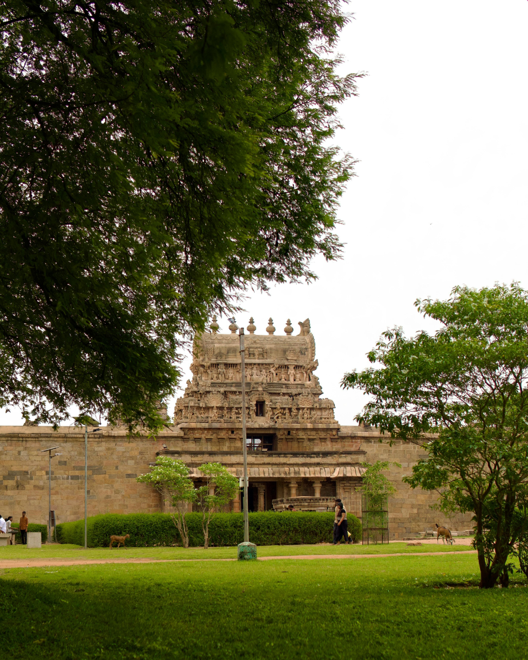 Thanjavur Big Temple Tour (3)