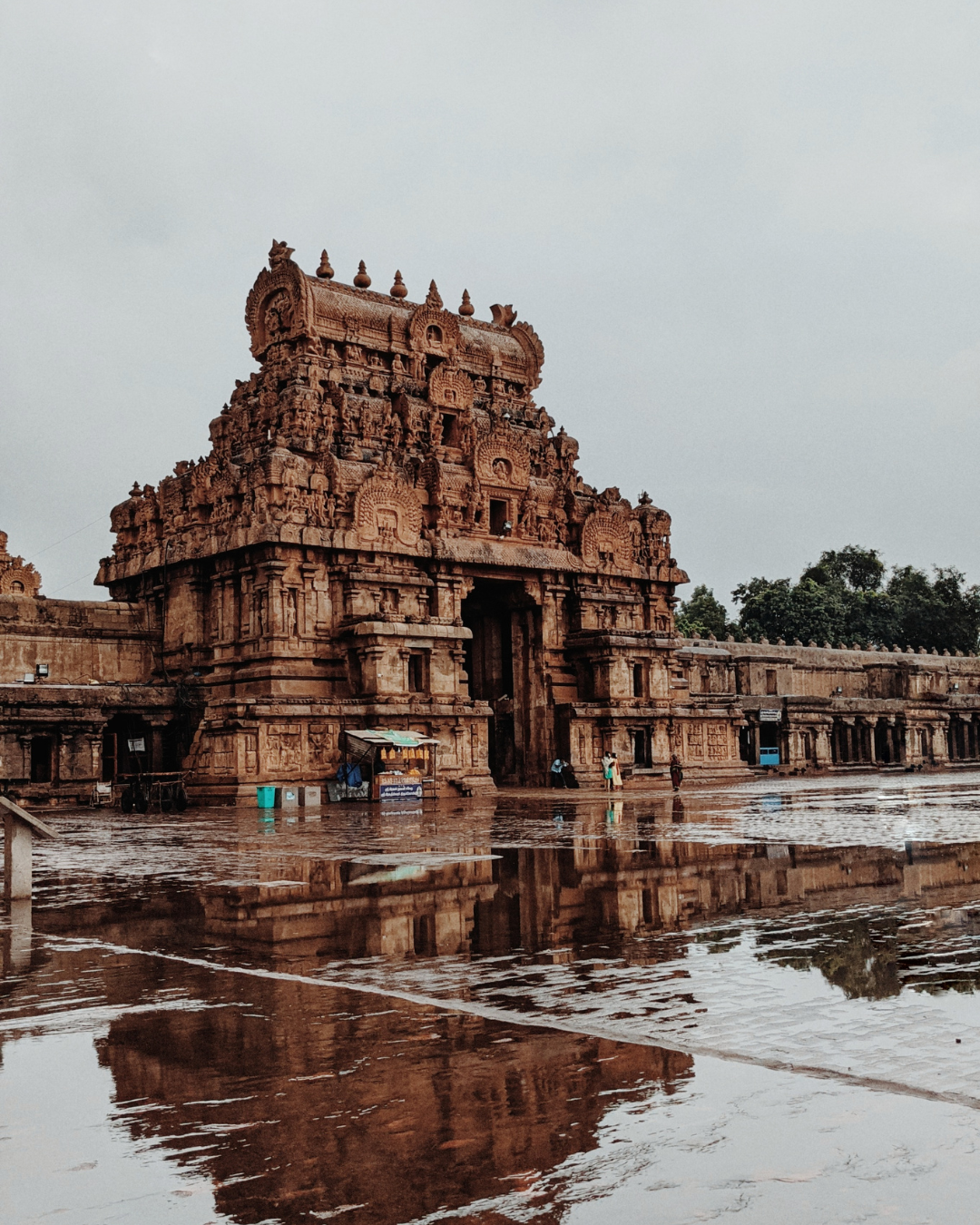 Thanjavur Big Temple Tour (5)