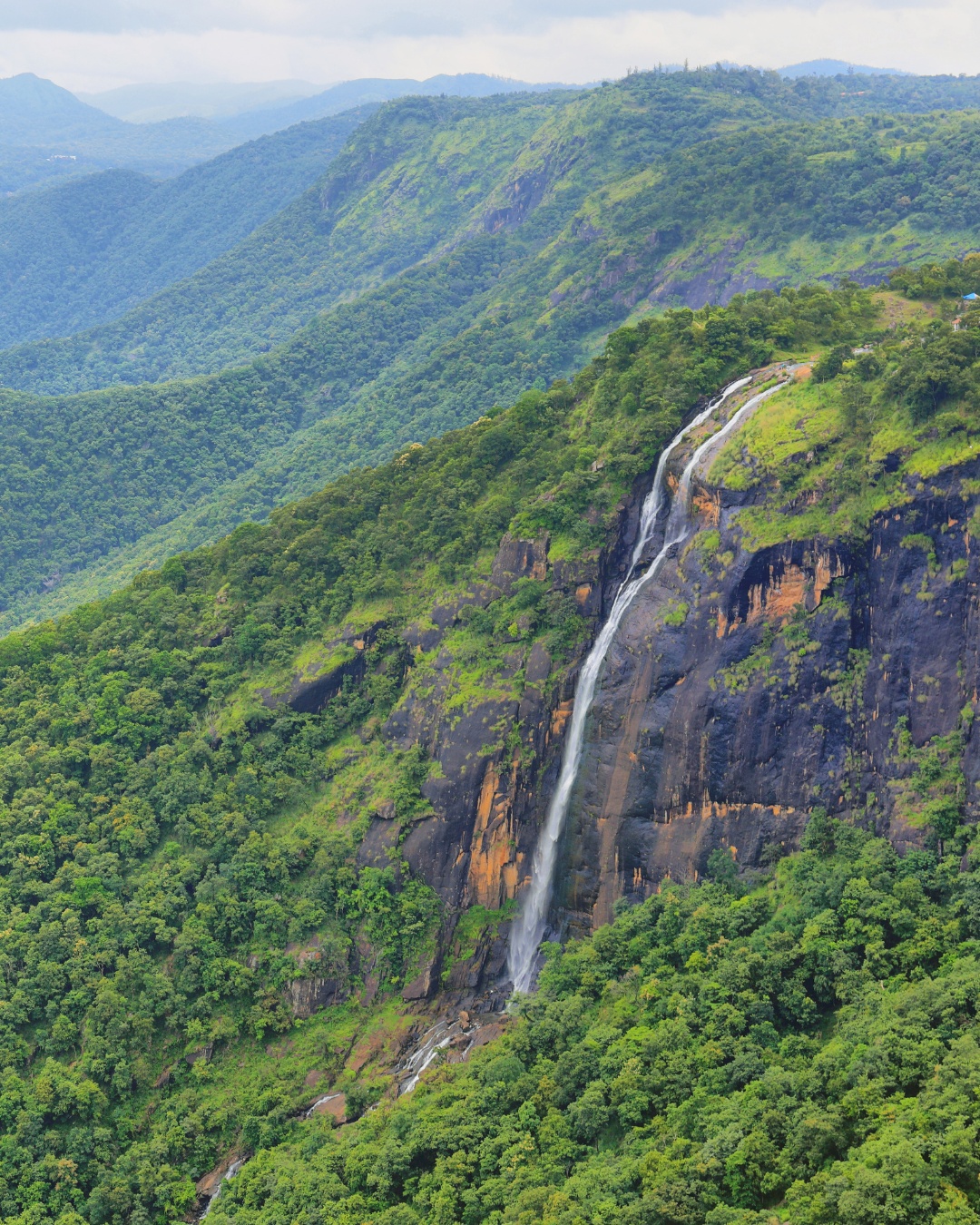 Thekkady Tour (1)