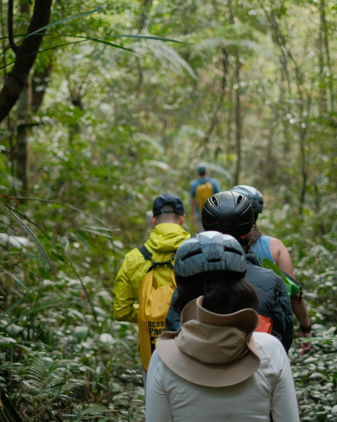 Vagamon Adventure Tour (2)