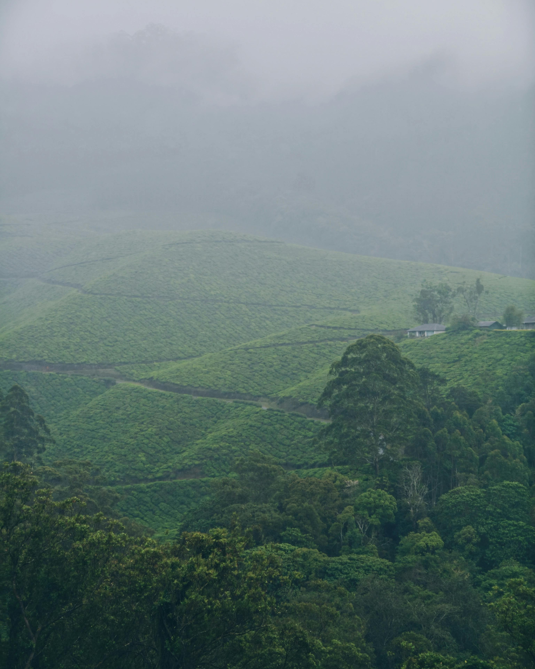 Vagamon Adventure Tour (3)