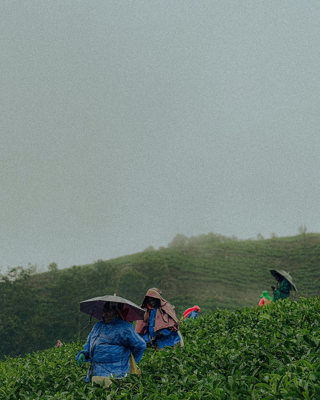 Vagamon Tour (3)