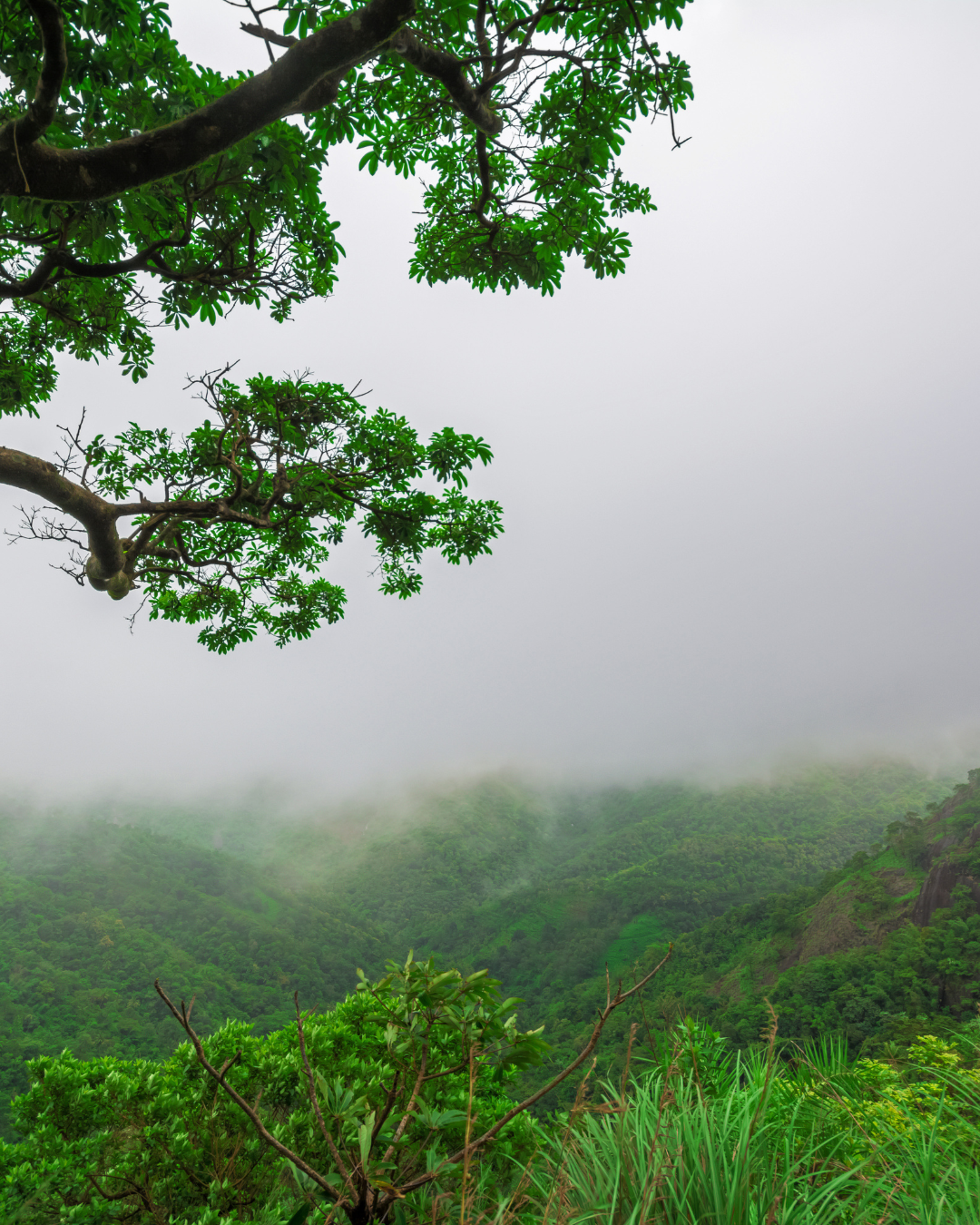 Vagamon Tour (4)
