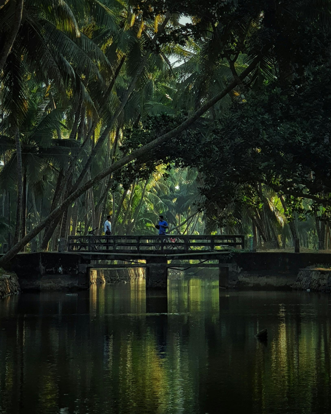 Varkala & Munroe Island Tour (3)