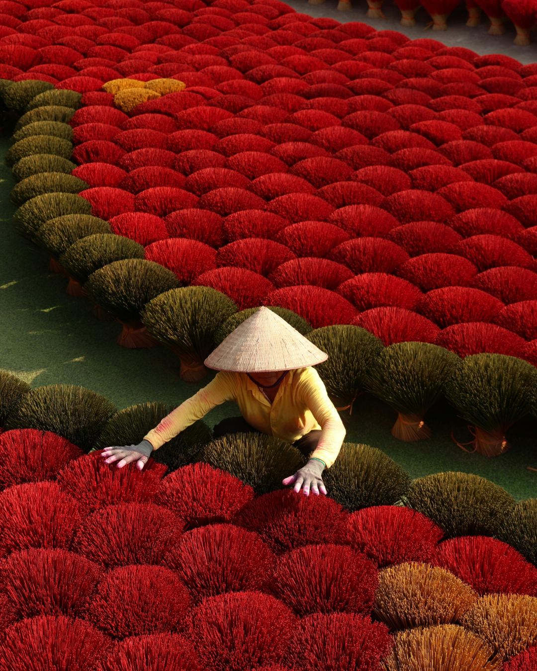 Vietnam Tour (5)