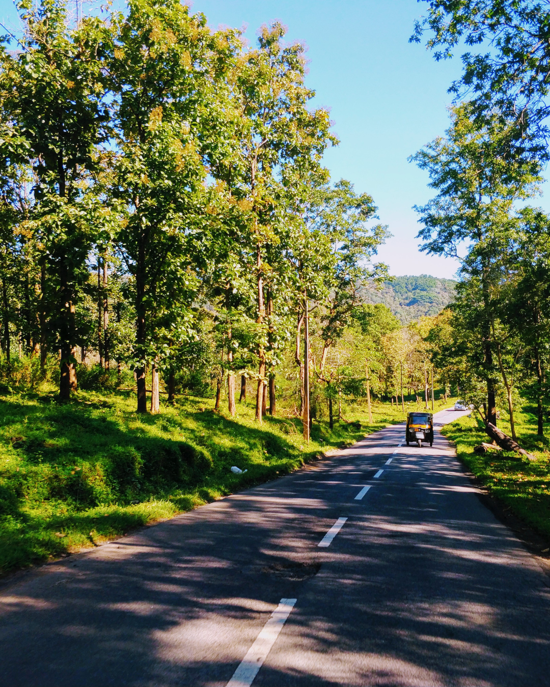 Wayanad Tour (1)