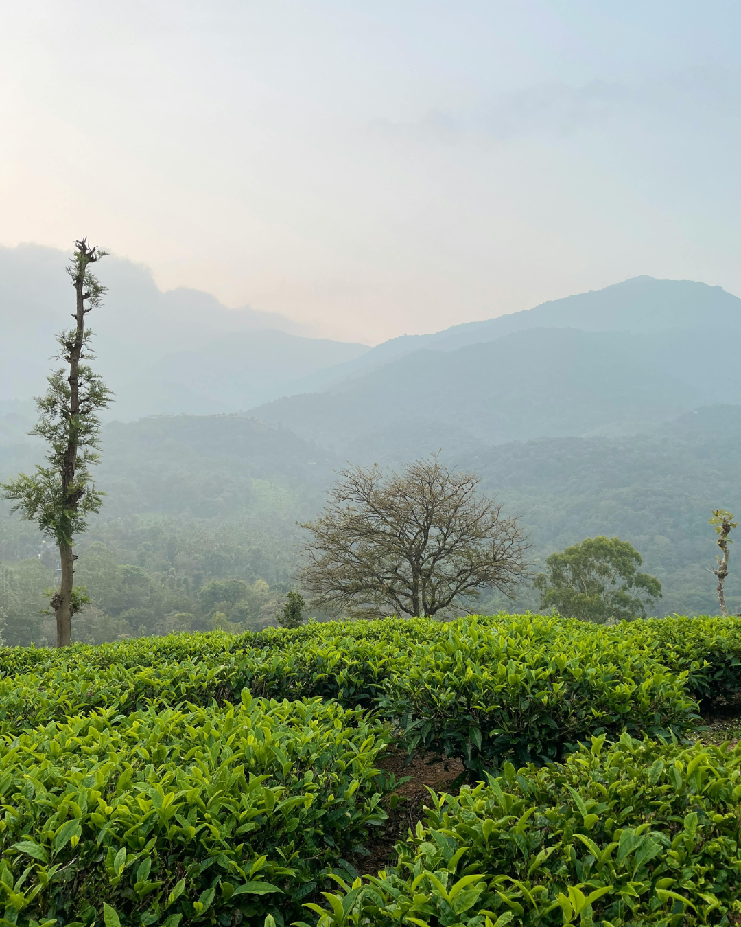 Wayanad Tour (2)