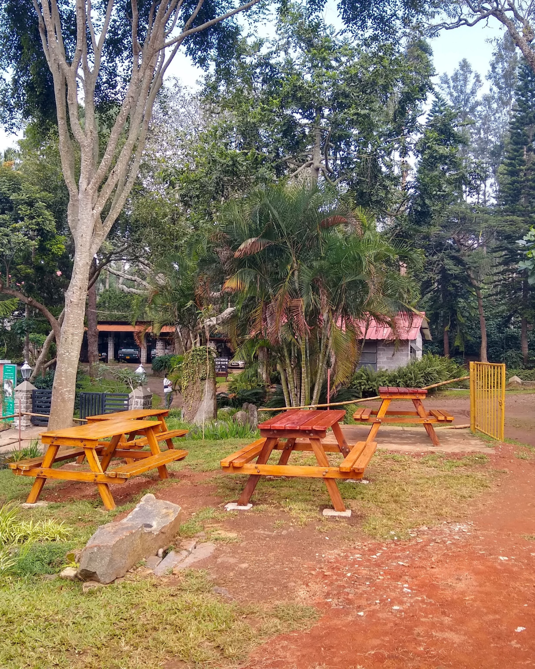 Yercaud Tour (1)