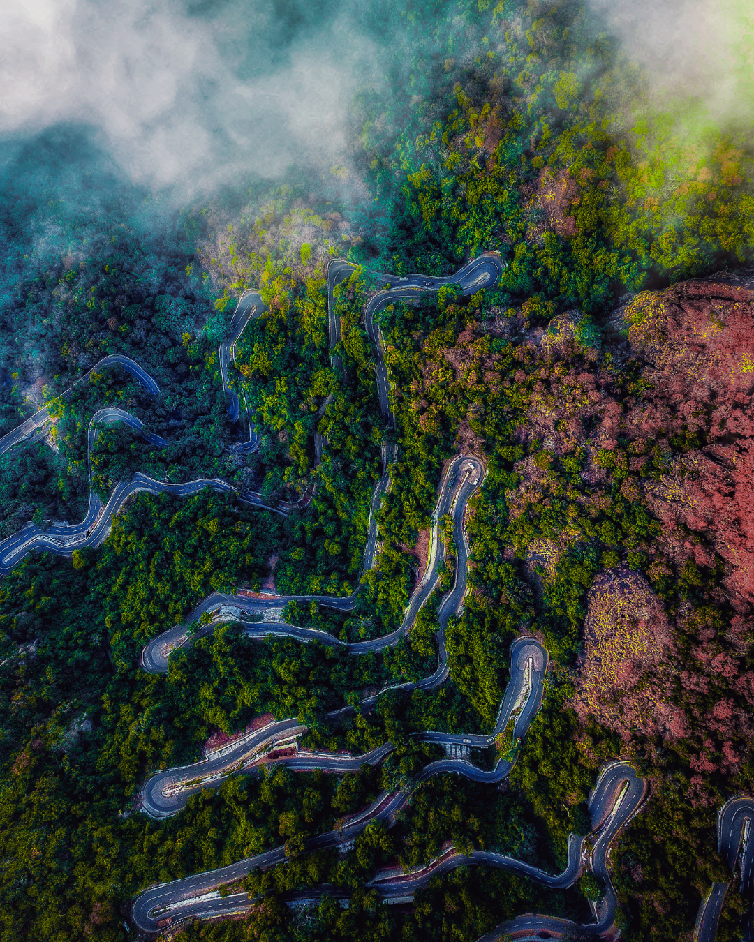 Yercaud Tour (2)