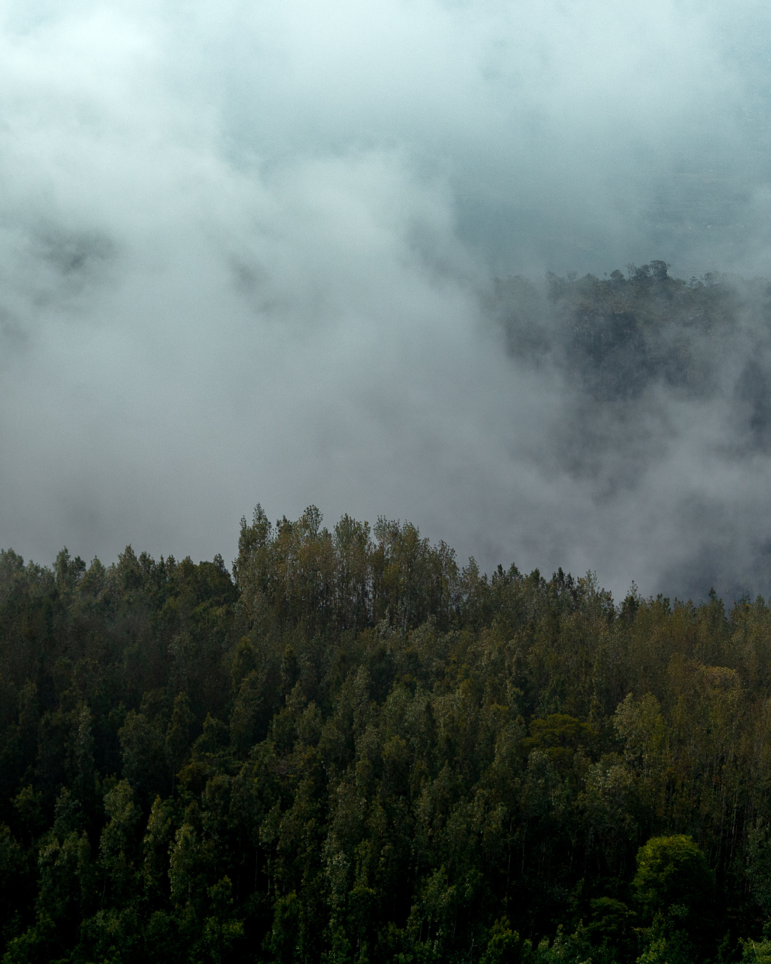 Yercaud Tour (3)